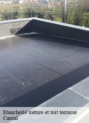 Etancheité toiture et toit terrasse 15 Cantal  Logan Couverture 