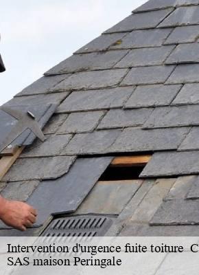 Intervention d'urgence fuite toiture  15 Cantal  SAS maison Peringale