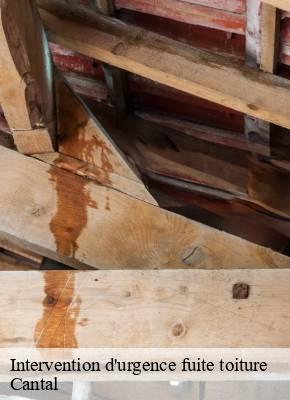 Intervention d'urgence fuite toiture  15 Cantal  SAS maison Peringale