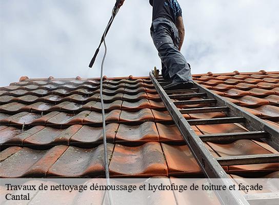 Travaux de nettoyage démoussage et hydrofuge de toiture et façade 15 Cantal Logan Couverture