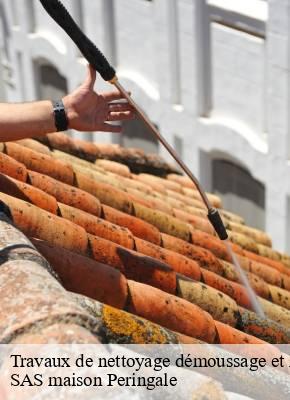 Travaux de nettoyage démoussage et hydrofuge de toiture et façade 15 Cantal  SAS maison Peringale