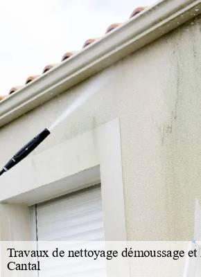 Travaux de nettoyage démoussage et hydrofuge de toiture et façade 15 Cantal  SAS maison Peringale