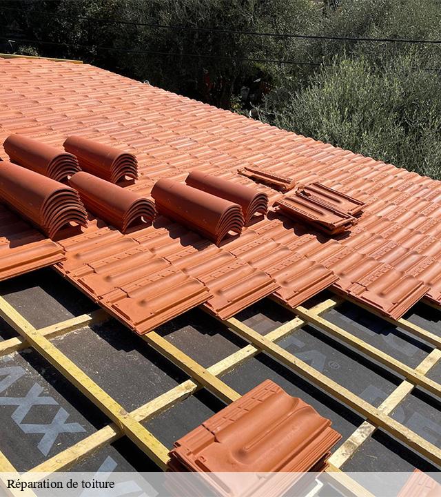 Réparation de toiture 15 Cantal  MIODET ISAAC