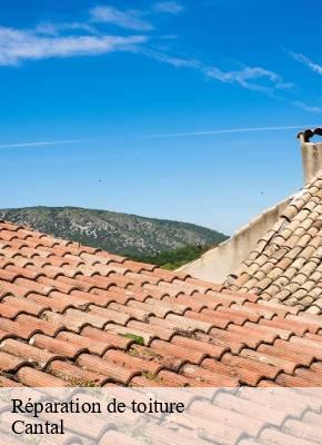 Réparation de toiture 15 Cantal  SAS maison Peringale