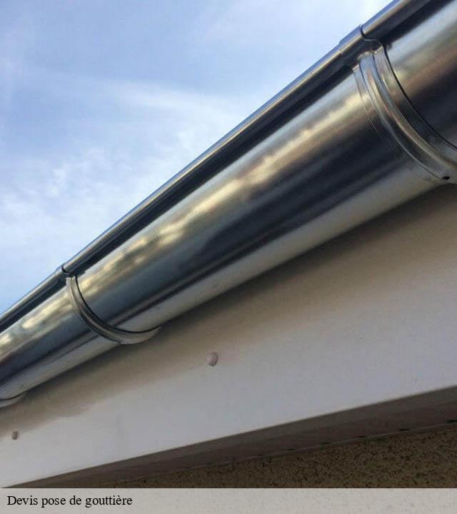 Devis pose de gouttière veze-15160 RR Toiture