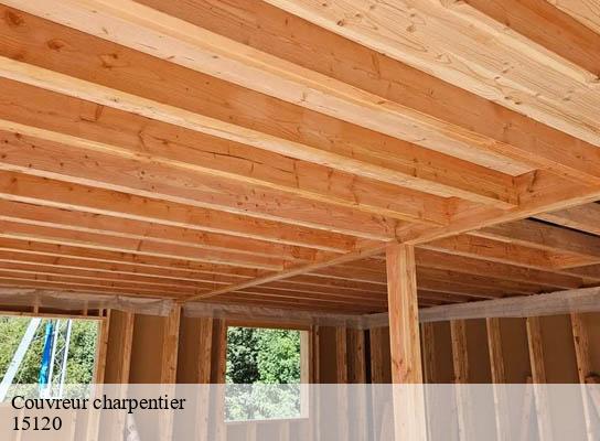 Couvreur charpentier vieillevie-15120 RR Toiture