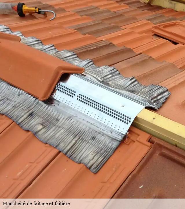 Etanchéité de faitage et faitière  anglards-de-saint-flour-15100 Logan Couverture 