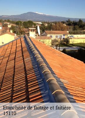 Etanchéité de faitage et faitière anterrieux-15110 Logan Couverture