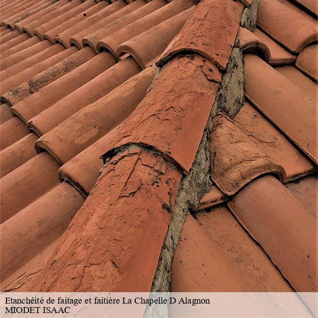 Etanchéité de faitage et faitière  la-chapelle-d-alagnon-15300 MIODET ISAAC