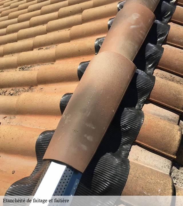 Etanchéité de faitage et faitière moledes-15500 RR Toiture