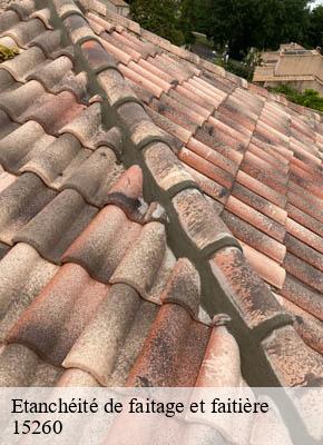 Etanchéité de faitage et faitière neuveglise-15260 RR Toiture