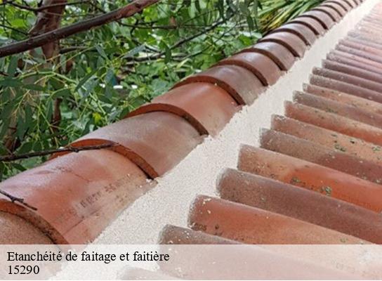 Etanchéité de faitage et faitière  parlan-15290 Logan Couverture 