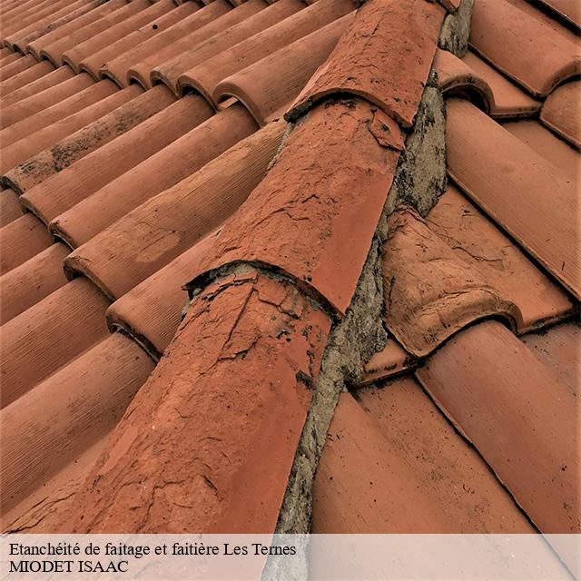 Etanchéité de faitage et faitière  les-ternes-15100 MIODET ISAAC