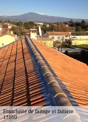 Etanchéité de faitage et faitière veze-15160 Logan Couverture
