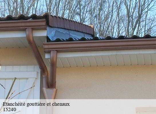 Etanchéité gouttière et chenaux  auzers-15240 MIODET ISAAC