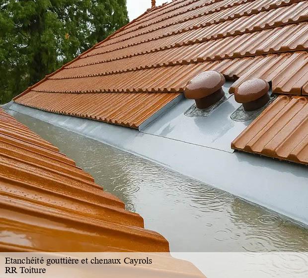 Etanchéité gouttière et chenaux cayrols-15290 RR Toiture