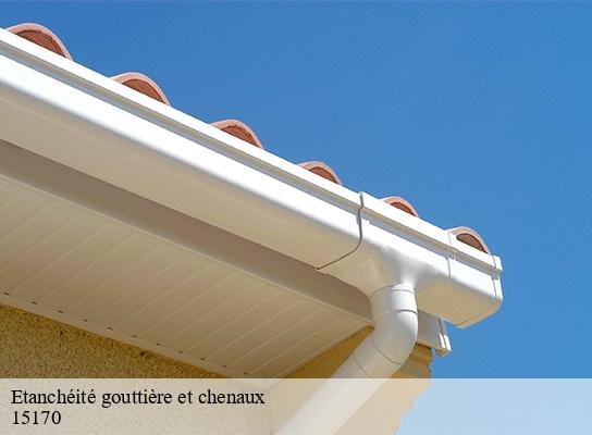 Etanchéité gouttière et chenaux  chalinargues-15170 Logan Couverture 