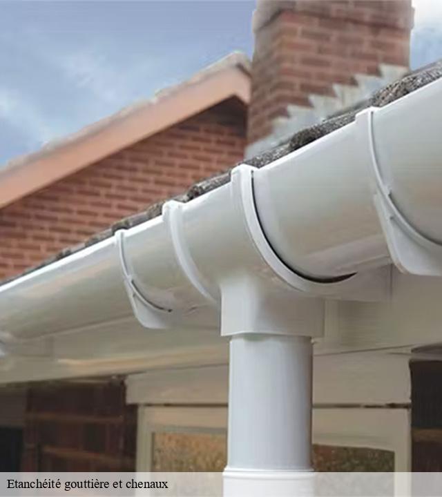 Etanchéité gouttière et chenaux  chalvignac-15200 Logan Couverture 