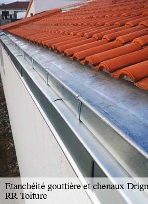 Etanchéité gouttière et chenaux drignac-15700 RR Toiture