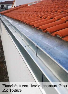 Etanchéité gouttière et chenaux giou-de-mamou-15130 RR Toiture