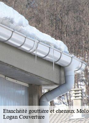 Etanchéité gouttière et chenaux molompize-15500 Logan Couverture