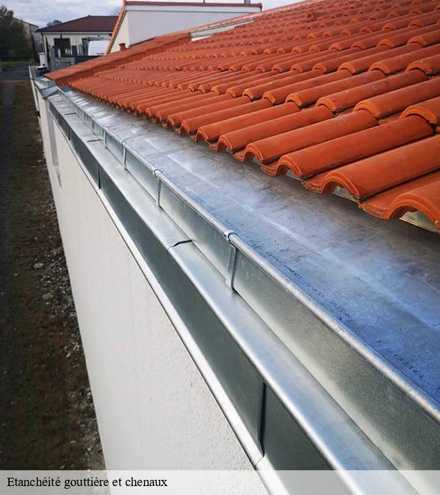 Etanchéité gouttière et chenaux  naucelles-15000 MIODET ISAAC