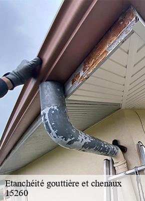 Etanchéité gouttière et chenaux  oradour-15260 Logan Couverture 