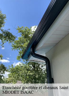 Etanchéité gouttière et chenaux  saint-chamant-15140 MIODET ISAAC
