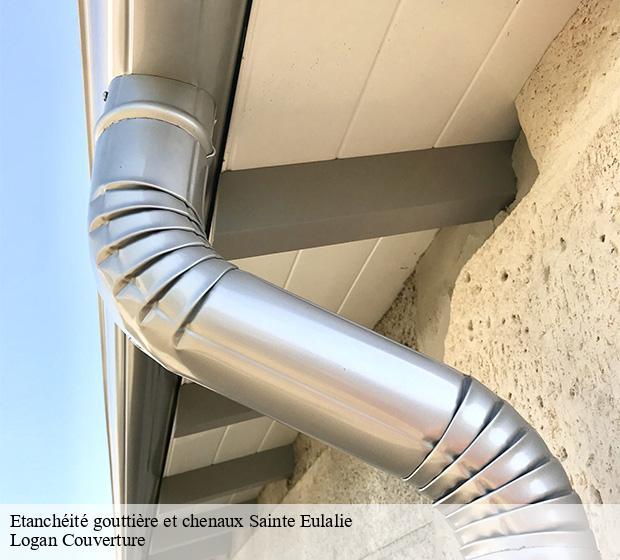 Etanchéité gouttière et chenaux  sainte-eulalie-15140 Logan Couverture 