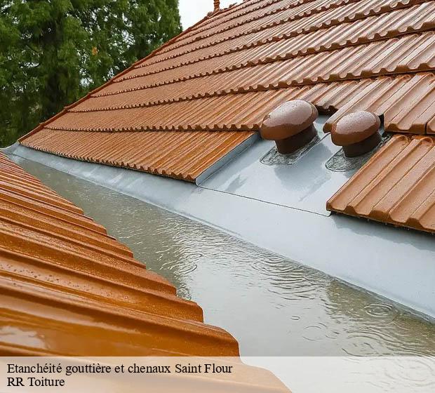 Etanchéité gouttière et chenaux saint-flour-15100 RR Toiture