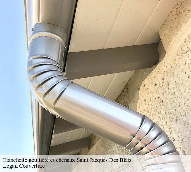 Etanchéité gouttière et chenaux saint-jacques-des-blats-15580 Logan Couverture