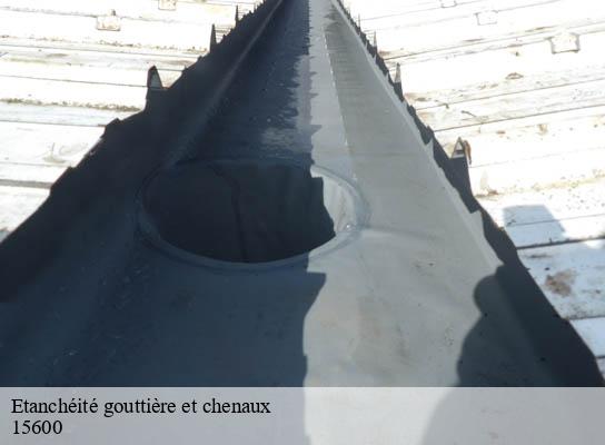 Etanchéité gouttière et chenaux saint-julien-de-toursac-15600 RR Toiture