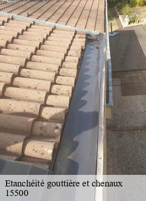Etanchéité gouttière et chenaux saint-mary-le-plain-15500 RR Toiture
