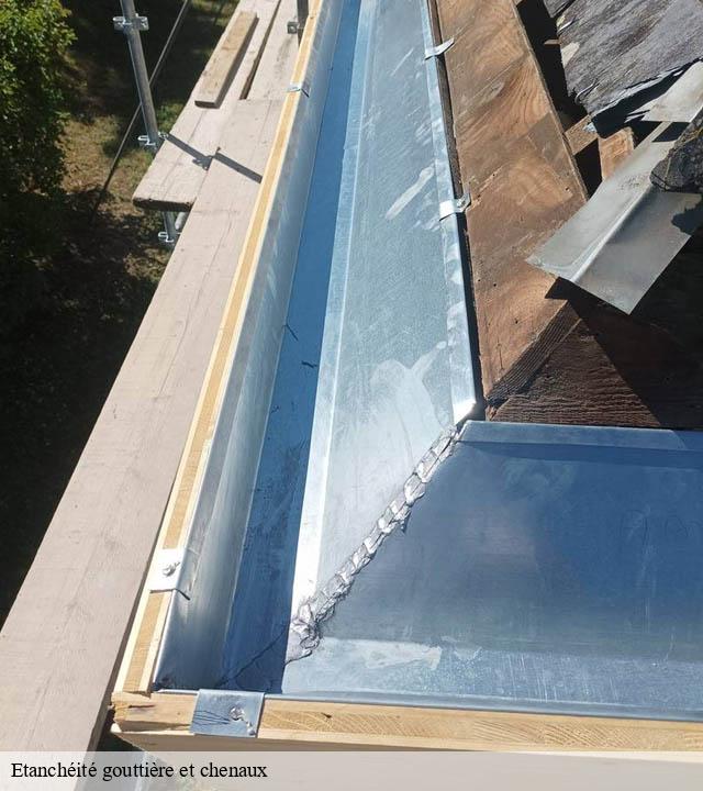 Etanchéité gouttière et chenaux sauvat-15240 RR Toiture