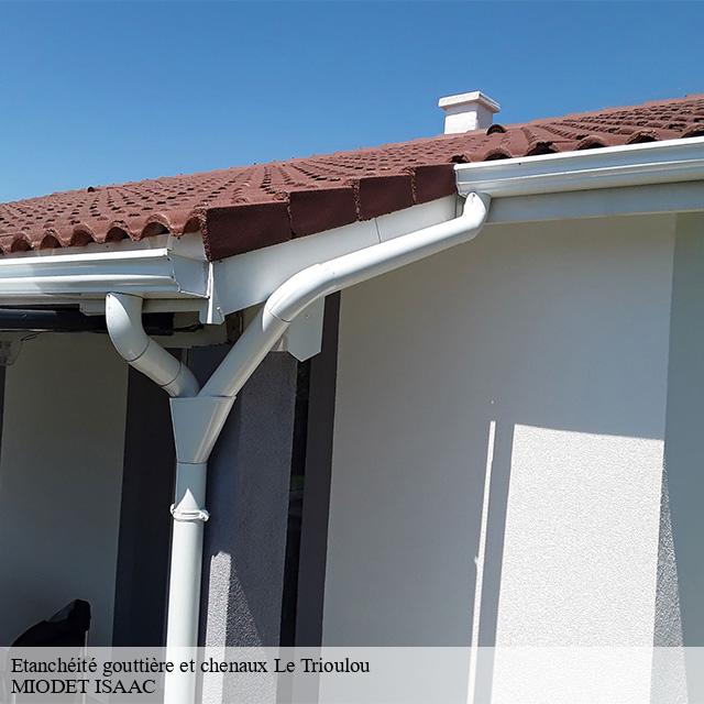 Etanchéité gouttière et chenaux  le-trioulou-15600 MIODET ISAAC