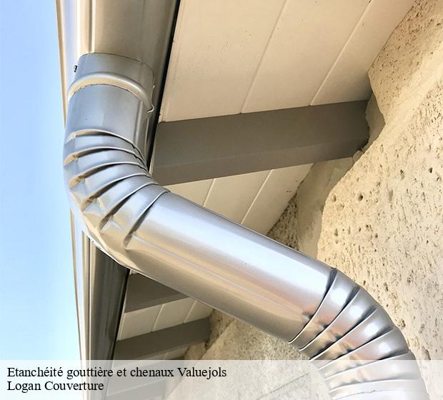 Etanchéité gouttière et chenaux  valuejols-15300 Logan Couverture 