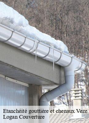Etanchéité gouttière et chenaux  veze-15160 Logan Couverture 