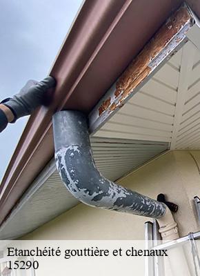 Etanchéité gouttière et chenaux  le-rouget-15290 MIODET ISAAC