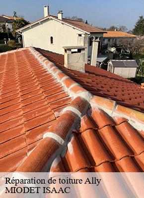 Réparation de toiture  ally-15700 MIODET ISAAC