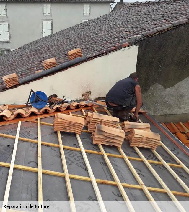 Réparation de toiture calvinet-15340 RR Toiture