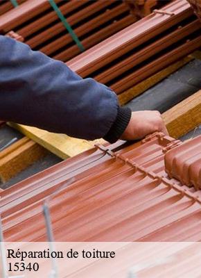 Réparation de toiture  cassaniouze-15340 MIODET ISAAC