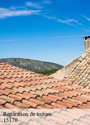 Réparation de toiture  chalinargues-15170 SAS maison Peringale