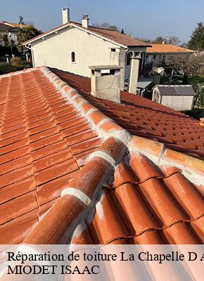 Réparation de toiture  la-chapelle-d-alagnon-15300 MIODET ISAAC
