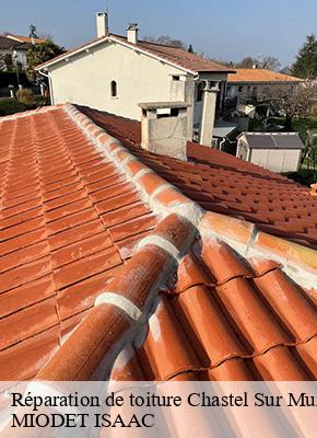 Réparation de toiture  chastel-sur-murat-15300 MIODET ISAAC