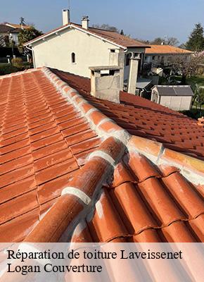 Réparation de toiture laveissenet-15300 Logan Couverture