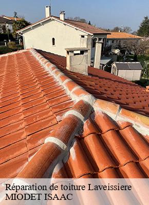 Réparation de toiture  laveissiere-15300 MIODET ISAAC