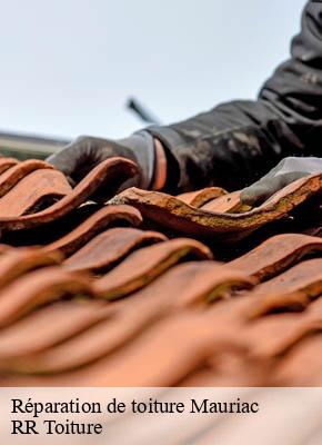 Réparation de toiture mauriac-15200 RR Toiture