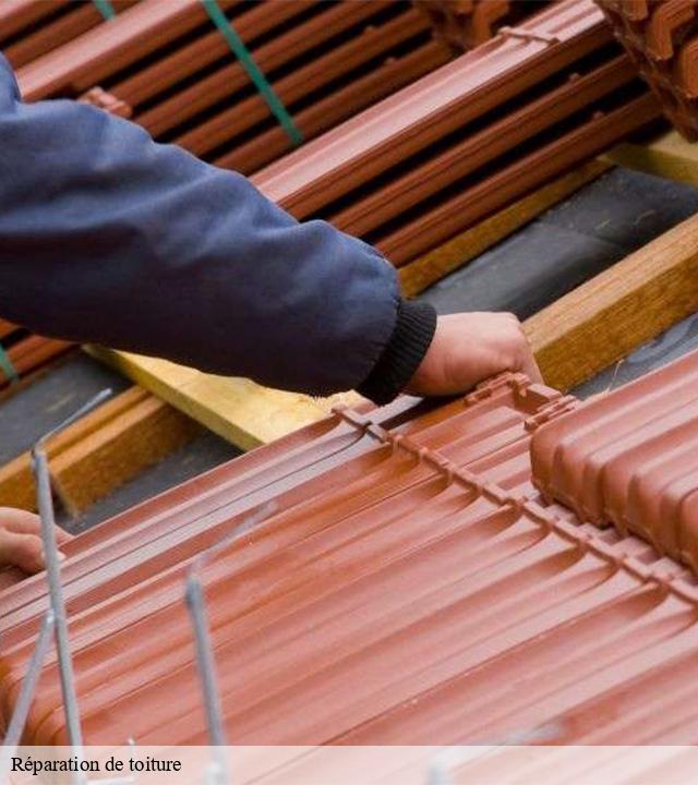 Réparation de toiture montchamp-15100 Logan Couverture