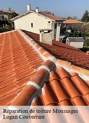 Réparation de toiture moussages-15380 Logan Couverture