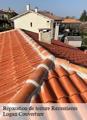 Réparation de toiture rezentieres-15170 Logan Couverture